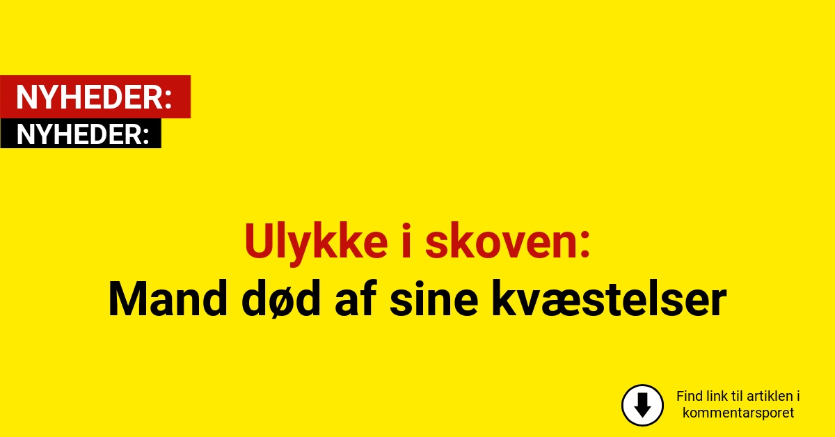 Mand i 60’erne død efter ulykken i skov under storm