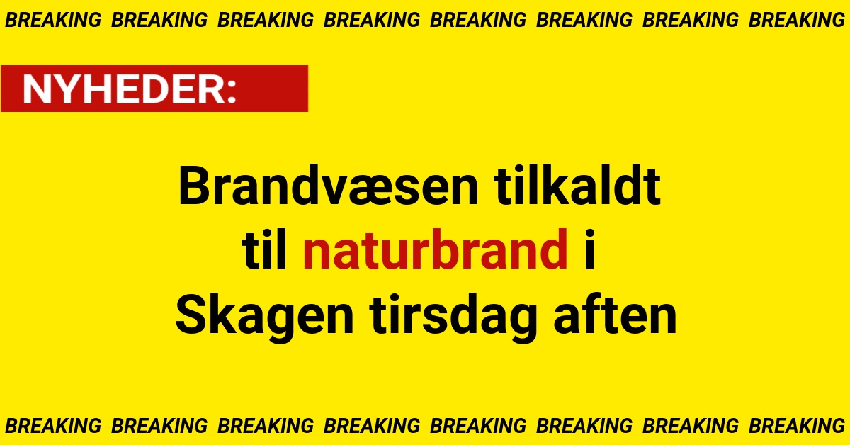 Brandvæsen tilkaldt til naturbrand i Skagen tirsdag aften