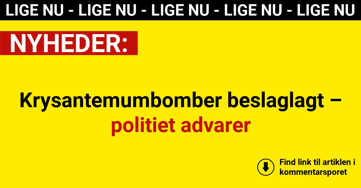 Krysantemumbomber beslaglagt – politiet advarer