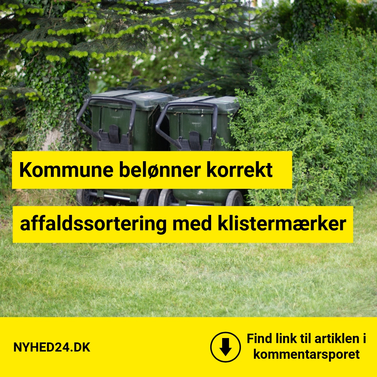 Affaldssortering kan give point hos kommunen