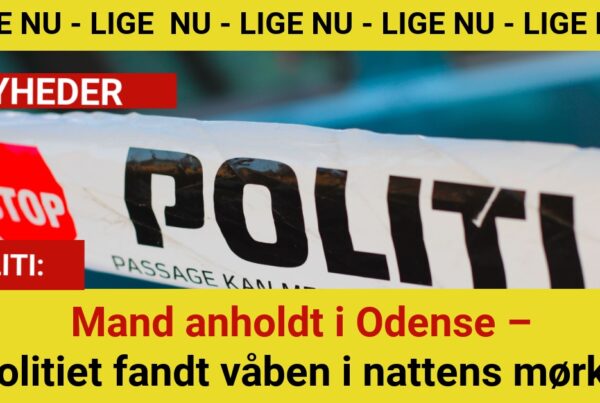 Mand anholdt i Odense – politiet fandt våben i nattens mørke