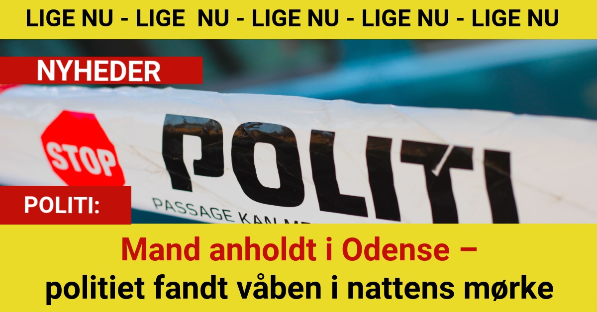 Mand anholdt i Odense – politiet fandt våben i nattens mørke