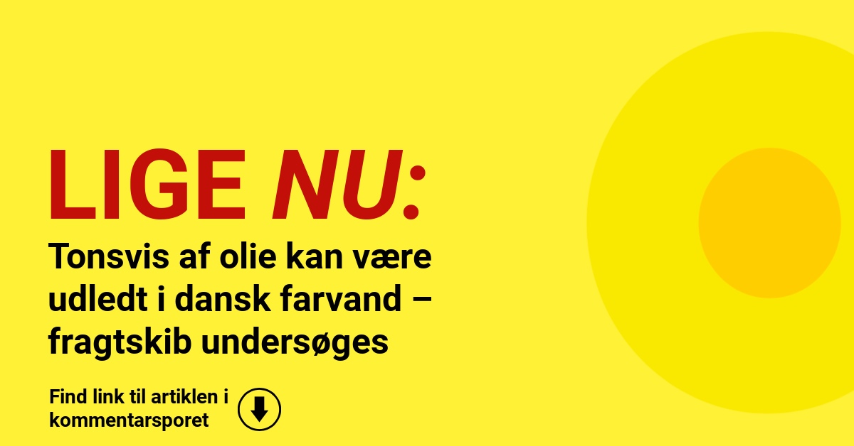 Frygt for stor olieudledning: Fragtskib tilbageholdt i dansk farvand