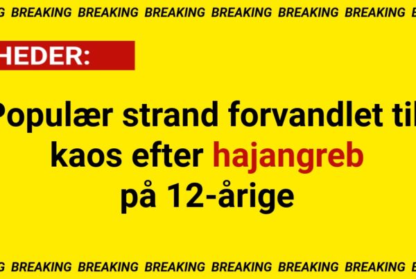 Populær strand forvandlet til kaos efter hajangreb på 12-årige