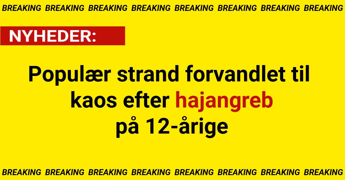 Populær strand forvandlet til kaos efter hajangreb på 12-årige