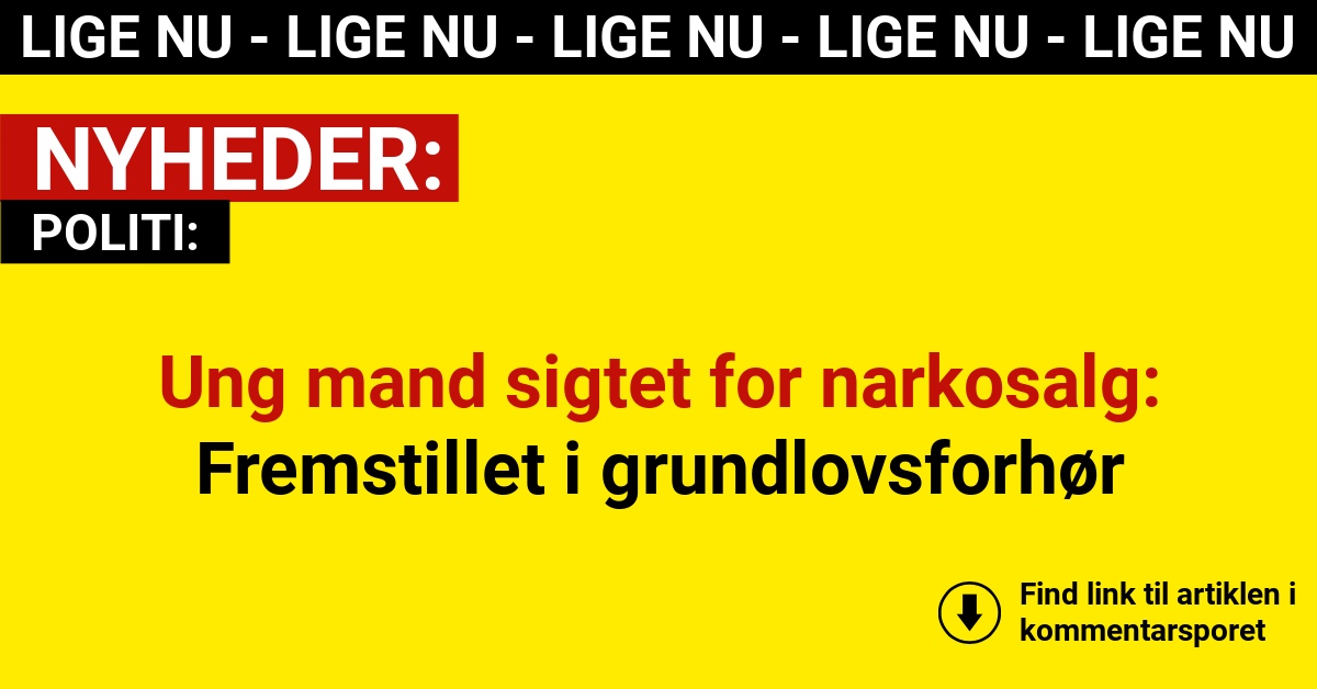Ung mand sigtet for narkosalg: Fremstillet i grundlovsforhør