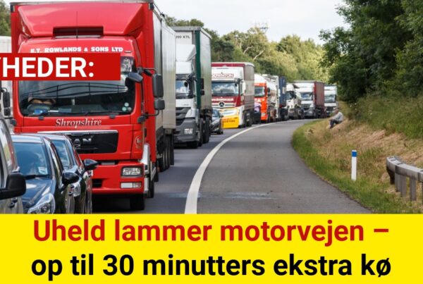 Uheld lammer motorvejen – op til 30 minutters ekstra kø
