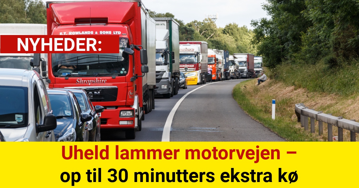 Uheld lammer motorvejen – op til 30 minutters ekstra kø