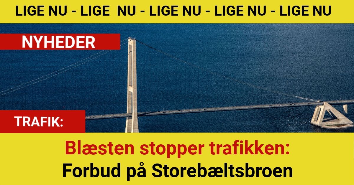 Blæsten stopper trafikken: Forbud på Storebæltsbroen