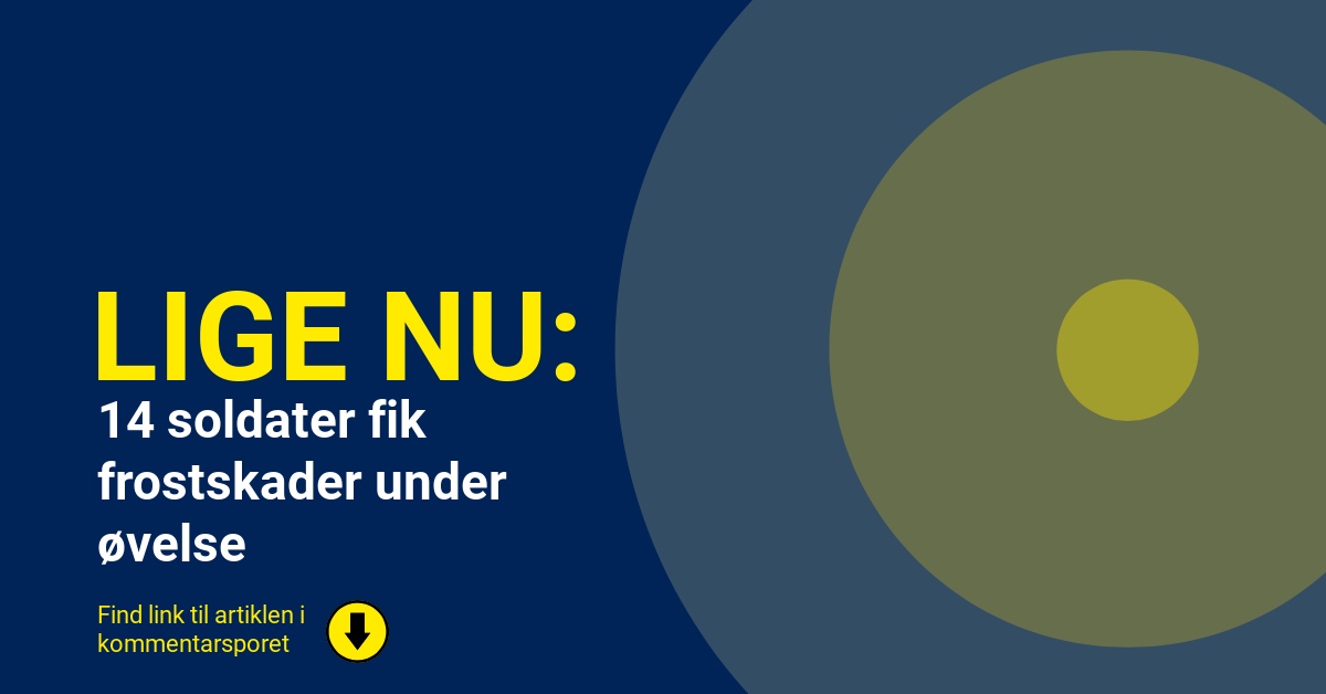 14 soldater fik frostskader under øvelse