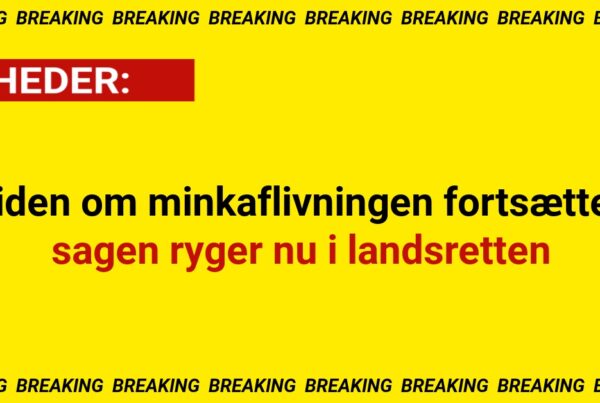 Striden om minkaflivningen fortsætter – sagen ryger nu i landsretten