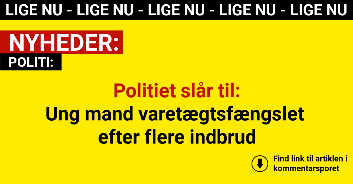 Politiet slår til: Ung mand varetægtsfængslet efter flere indbrud