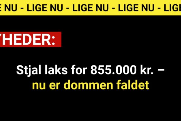 Stjal laks for 855.000 kr. – nu er dommen faldet