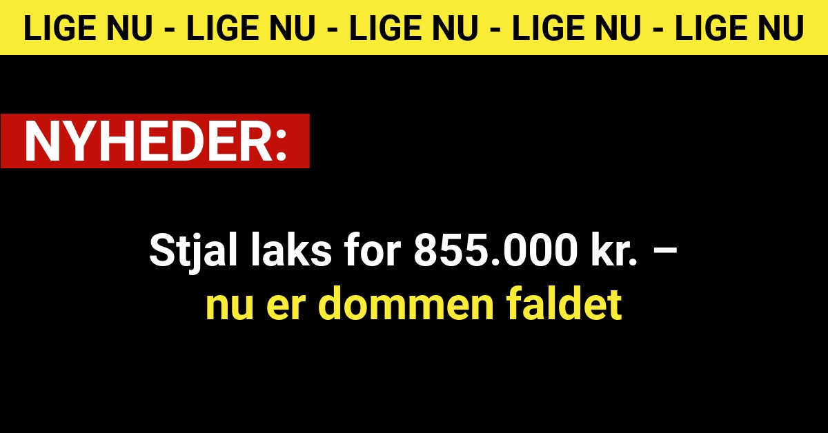 Stjal laks for 855.000 kr. – nu er dommen faldet