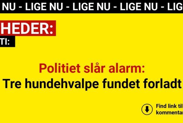 Politiet slår alarm: Tre hundehvalpe fundet forladt