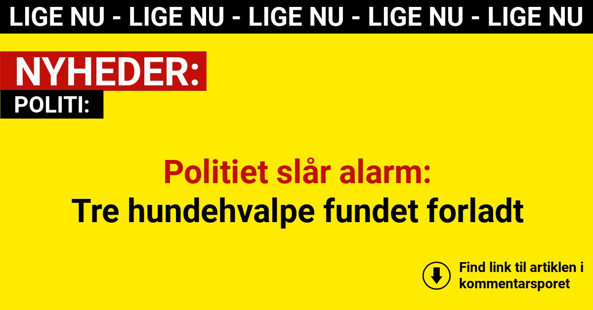 Politiet slår alarm: Tre hundehvalpe fundet forladt