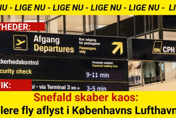 Snefald skaber kaos: Flere fly aflyst i Københavns Lufthavn