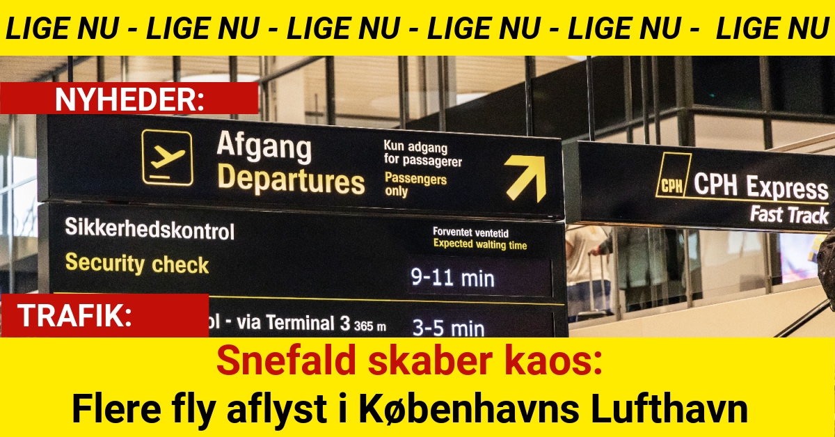 Snefald skaber kaos: Flere fly aflyst i Københavns Lufthavn