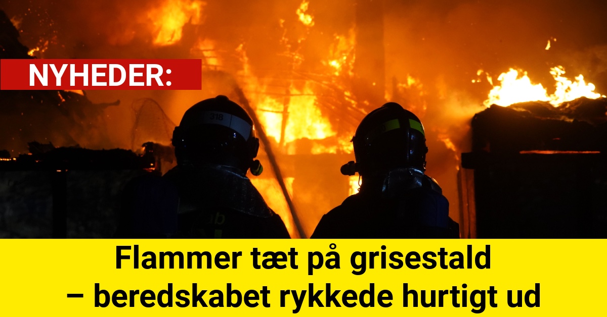 Flammer tæt på grisestald – beredskabet rykkede hurtigt ud
