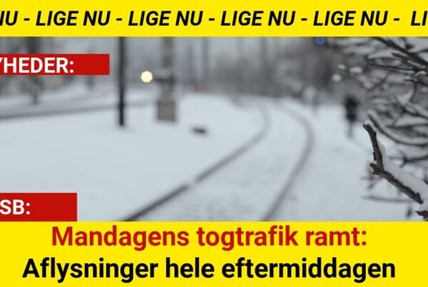 Mandagens togtrafik ramt: Aflysninger hele eftermiddagen