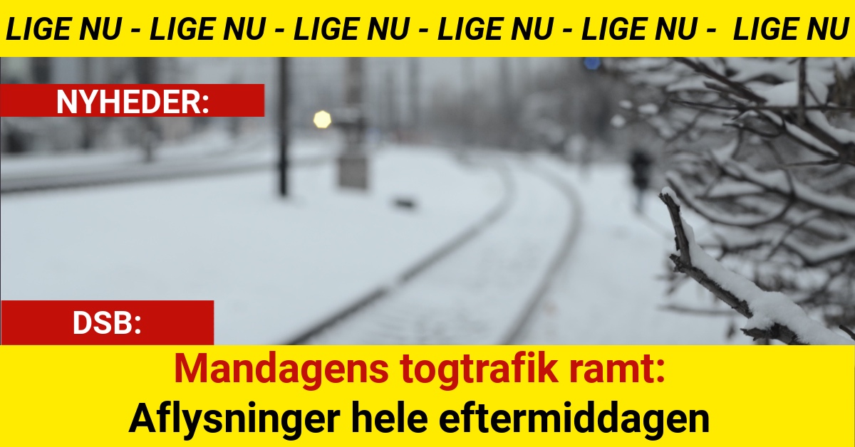 Mandagens togtrafik ramt: Aflysninger hele eftermiddagen