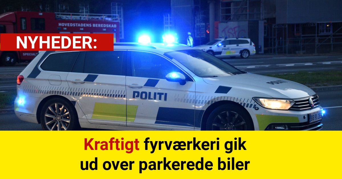 Bilister vågnede til ødelagte biler - politiet beder om hjælp