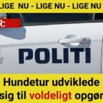 Hundeluftetur endte i vold: Kvinde sparket – mand sigtet