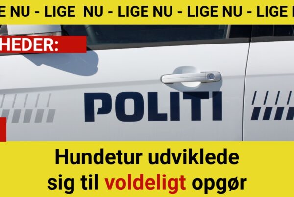 Hundeluftetur endte i vold: Kvinde sparket – mand sigtet