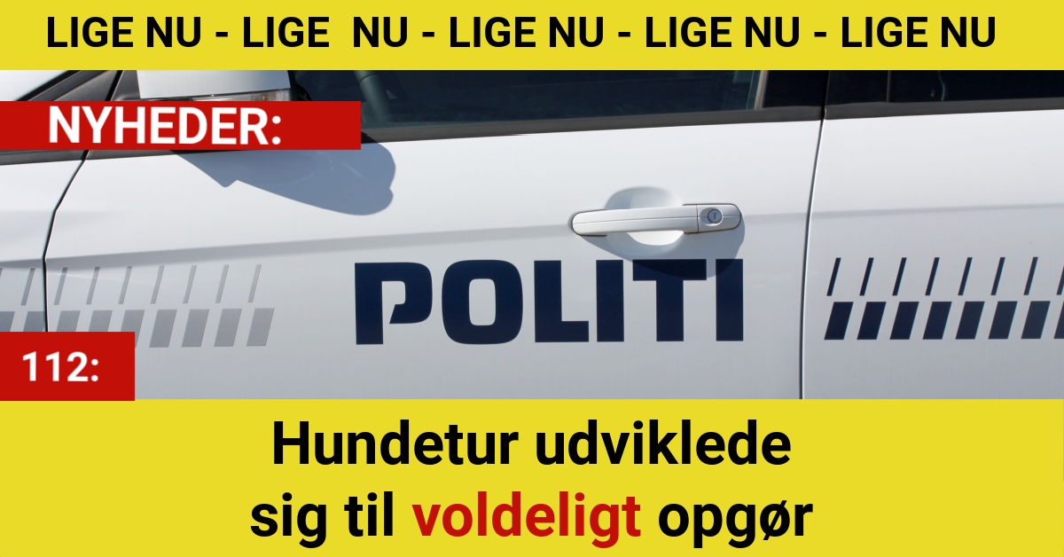 Hundeluftetur endte i vold: Kvinde sparket – mand sigtet