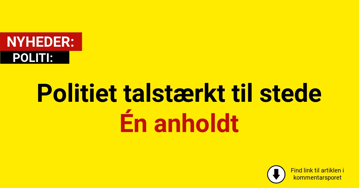 Politiet rykker ud i stor stil – undersøger adresse