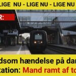 Mand skubbet ind i godstog på station – alvorligt kvæstet