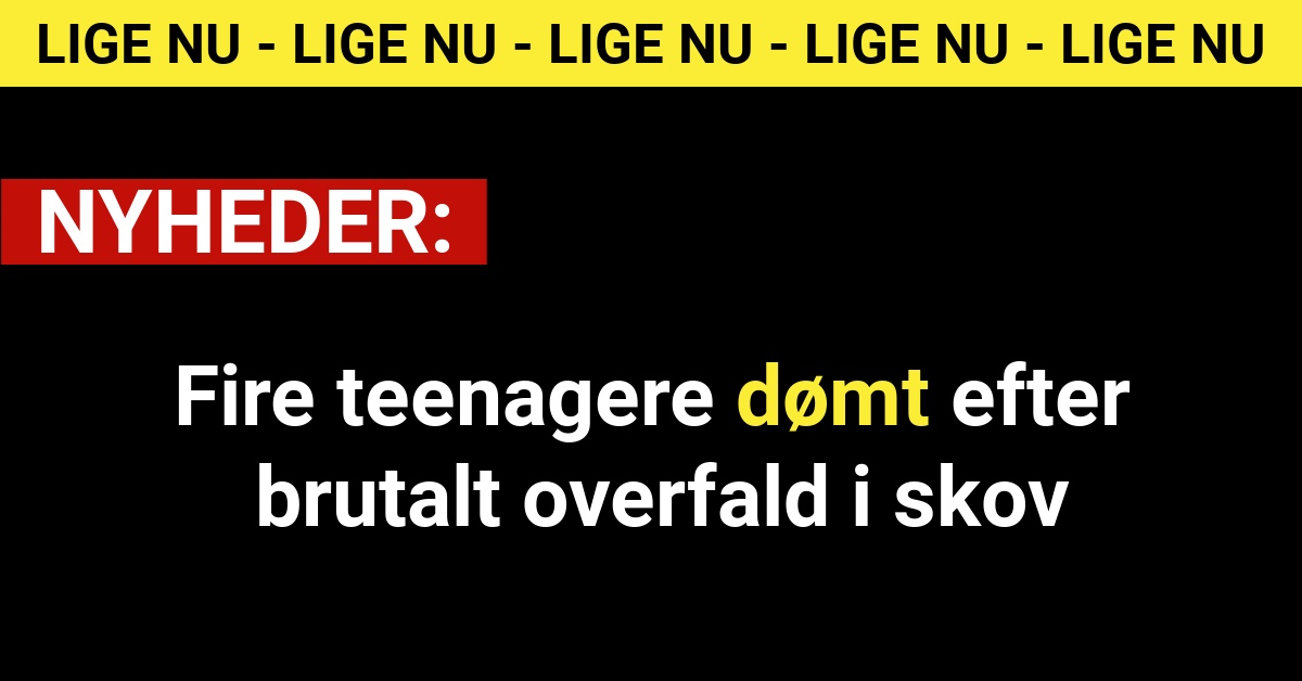 Fire teenagere dømt efter brutalt overfald i skov