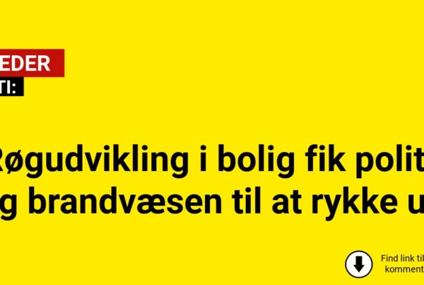 Røgudvikling i bolig fik politi og brandvæsen til at rykke ud