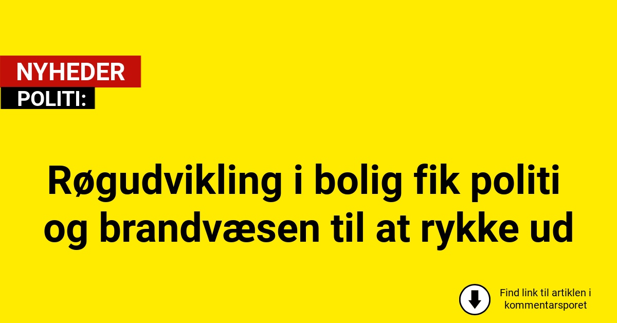 Røgudvikling i bolig fik politi og brandvæsen til at rykke ud