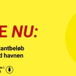 Stort kontantbeløb fundet ved havnen