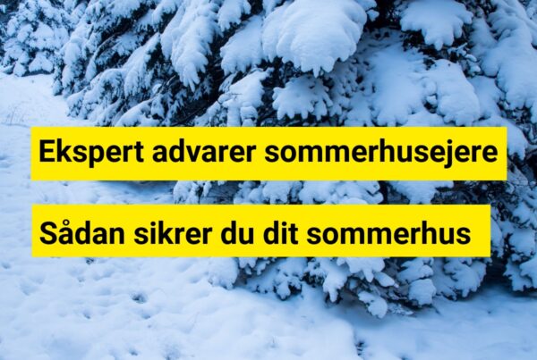 Frosten kan koste sommerhusejere dyrt – ekspert advarer nu