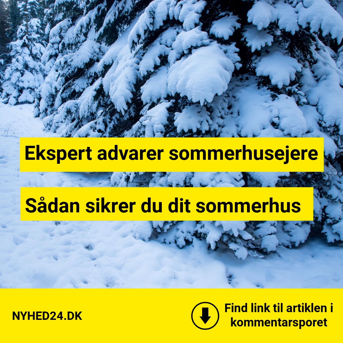 Frosten kan koste sommerhusejere dyrt – ekspert advarer nu