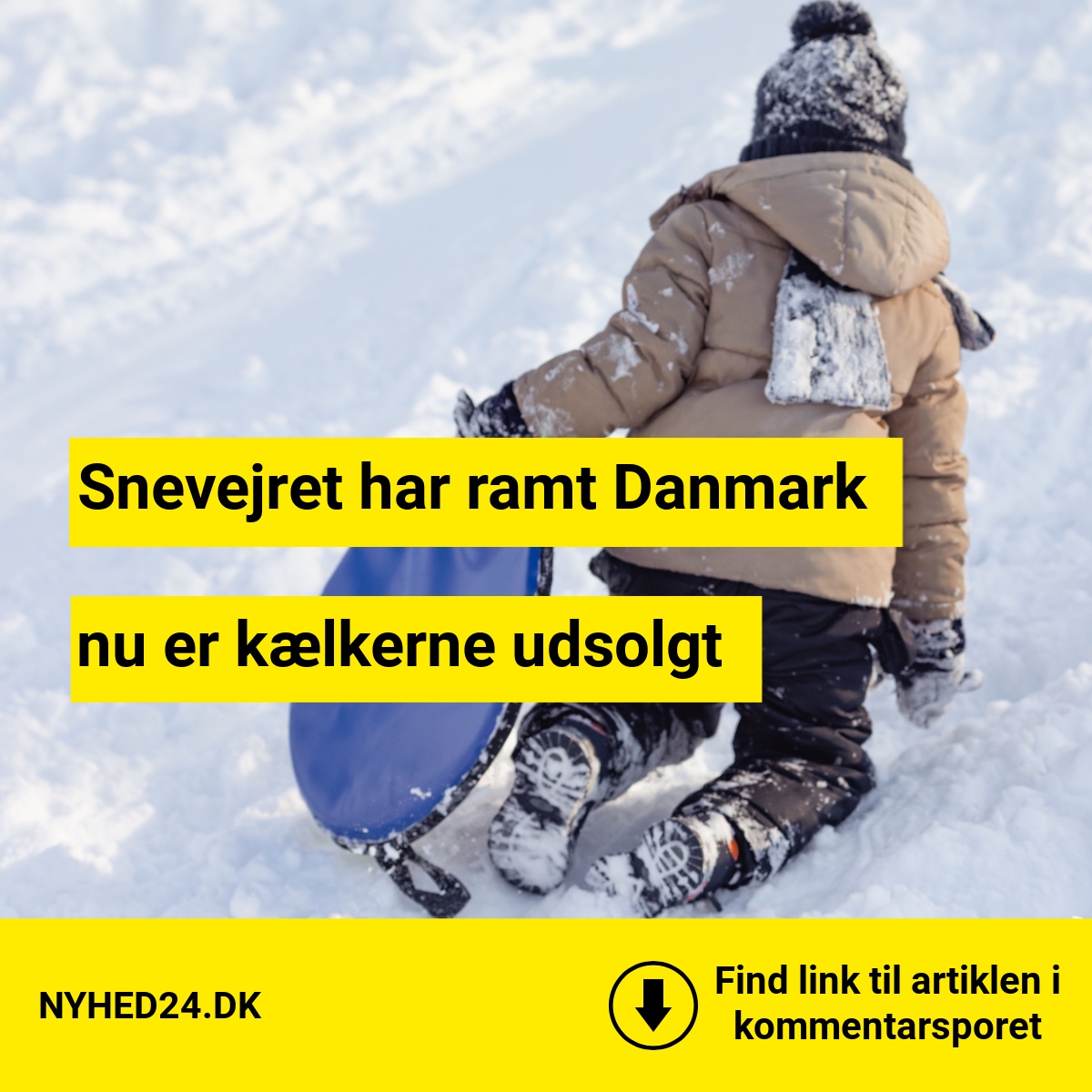 Snevejret har ramt Danmark – nu er kælkerne udsolgt