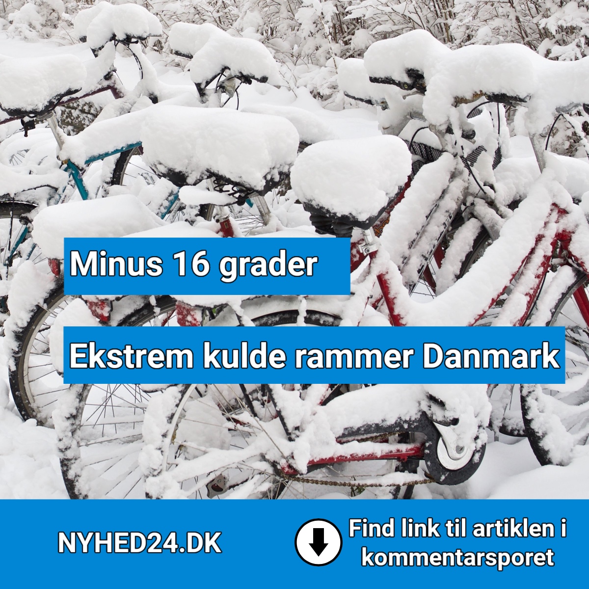 🧊 Iskulde fra morgenstunden