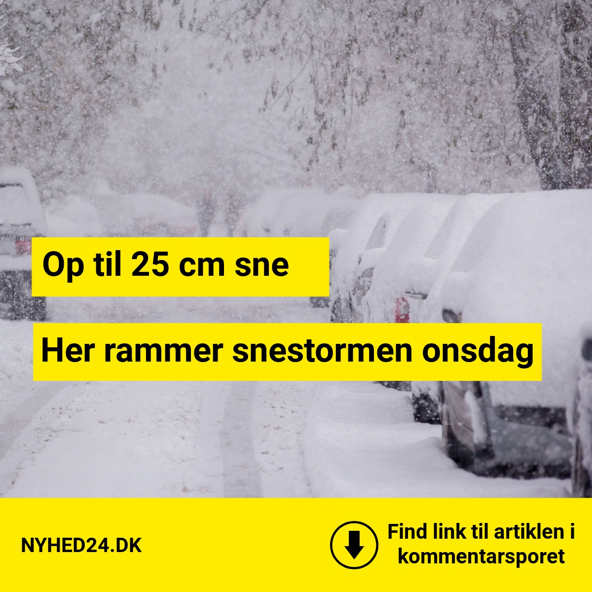 Op til 25 cm sne: Her rammer snestormen onsdag