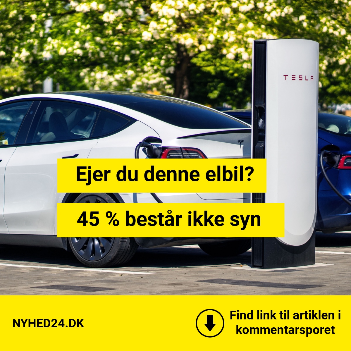 Choktal: Næsten hver anden Tesla Model Y dumper til syn