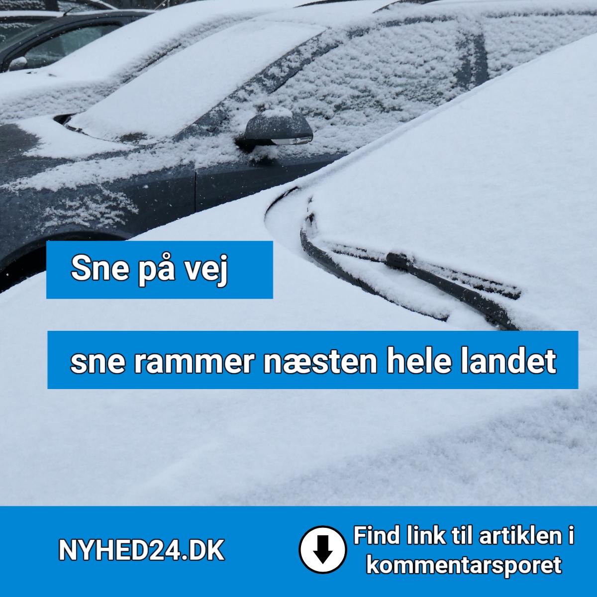 sne rammer næsten hele landet