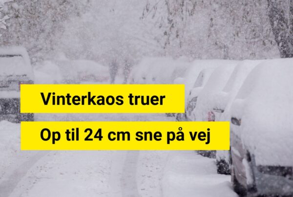 Op til 24 cm sne på vej – disse områder rammes hårdest