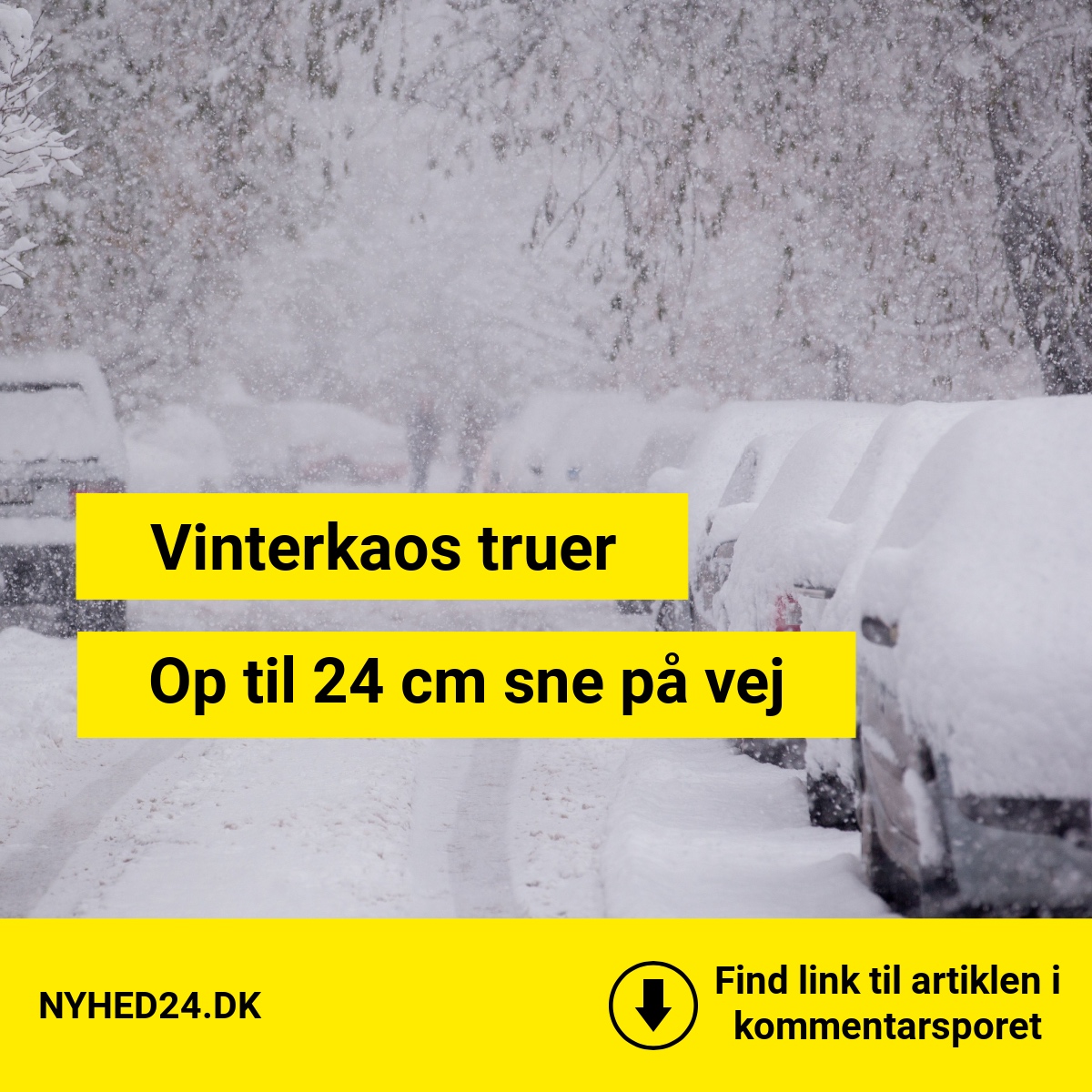 Op til 24 cm sne på vej – disse områder rammes hårdest