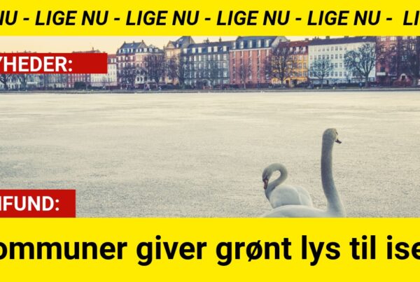 Kommuner giver grønt lys til isen