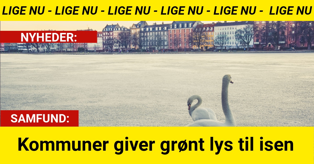 Kommuner giver grønt lys til isen