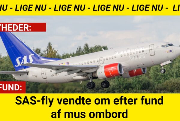 SAS-fly vendte om efter fund af mus ombord