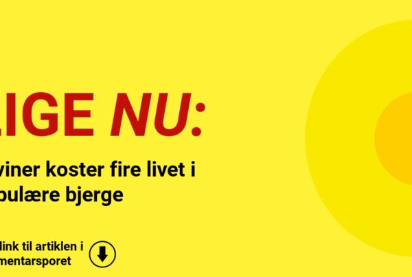 Laviner koster fire livet i populære bjerge