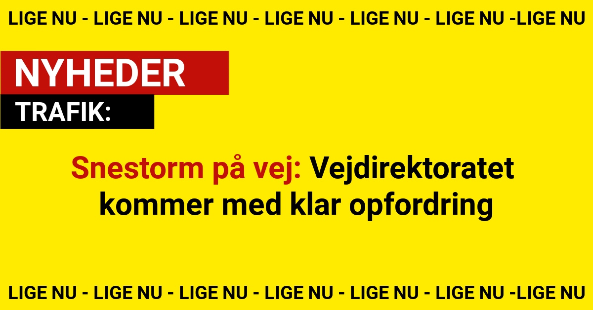 Snestorm på vej: Vejdirektoratet kommer med klar opfordring