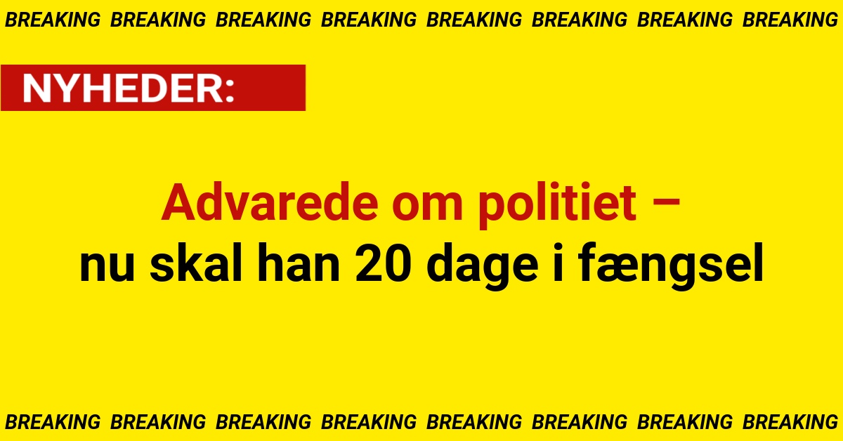 Advarede om politiet – nu skal han 20 dage i fængsel